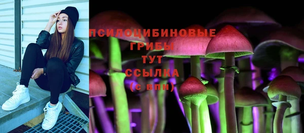 спайс Верея