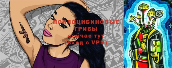 прущая мука Верхний Тагил