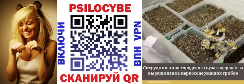 Галлюциногенные грибы MAGIC MUSHROOMS  Ейск 